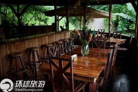 森林餐厅图片,沉浸式自然美食体验
