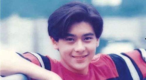 完全娱乐林志颖,娱乐界的全能王子，魅力四射的完美人生