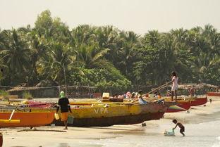 罗戈照片,捕捉瞬间，展现生活百态