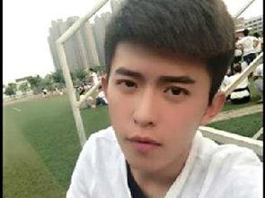 猫小白图片,萌态可掬的治愈系猫咪风采