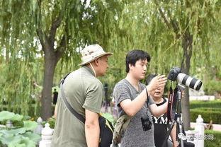 湖影花絮,捕捉水光山色间的美好瞬间