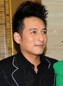 何李维嘉个人资料,多才多艺的综艺主持，魅力四射的明星人生